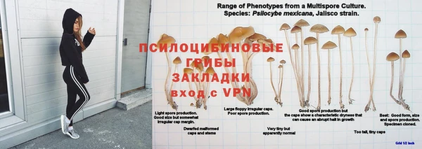 дурь Арсеньев