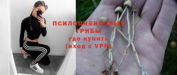 МДПВ Армянск