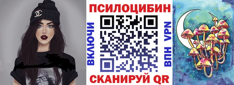 закладка  Шумиха  Псилоцибиновые грибы прущие грибы 